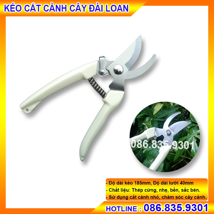 DỤNG CỤ KÉO CẮT CÀNH CÂY ĐÀI LOAN, CHUYÊN DÙNG ĐỂ CẮT CÀNH NHỎ VÀ CHĂM SÓC CÂY CẢNH