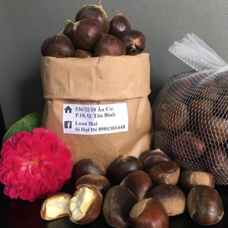 COMBO 3kg hạt dẻ Loại 1
