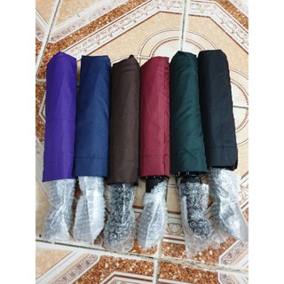 Ô Tự Động Gấp Gọn Đóng Mở 2 Chiều [ Hàng 10 Nan ]