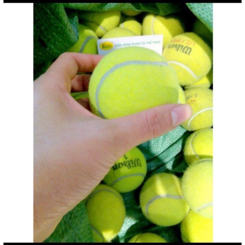 Bóng tennis cũ - hàng tuyển chọn kỹ, đẹp, bền