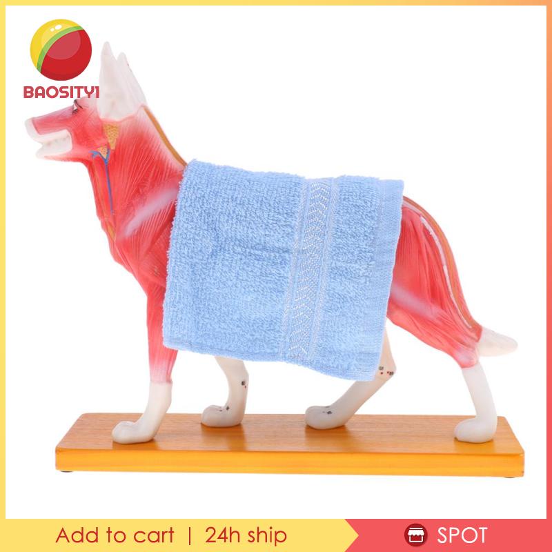 Bộ Dụng Cụ Học Tập Cho Cún Cưng [Baosity] [Baosity]