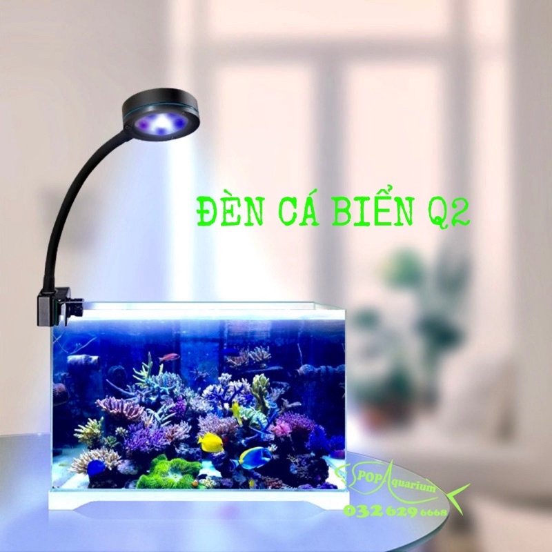 Đèn cho bể cá biển Q Seri - Q2
