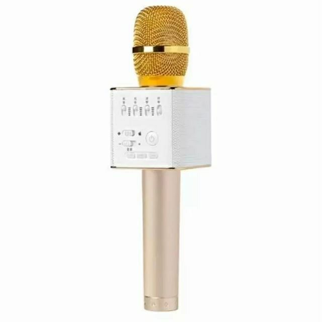 Micro kèm loa hát Karaoke Q9