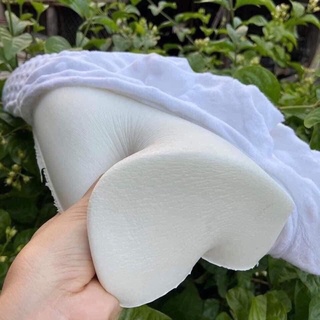 Gối cao su non ensure