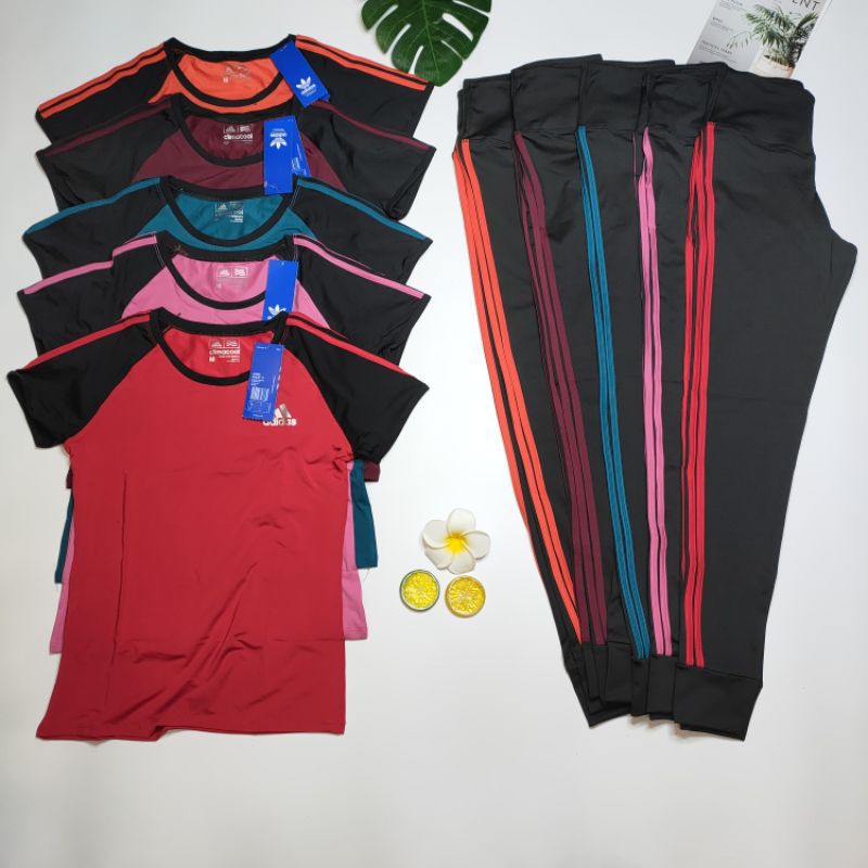 Sét Dài Phủ Bụng Siêu Đẹp Mẫu Mới, đồ tập dài yoga, gym, aerobic thể thao Bin Sports BD074