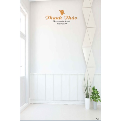 Phông Livestream Chụp Ảnh Màu Nhẹ Nhàng 3D 5D Miễn Phí Chèn Logo và Nội Dung