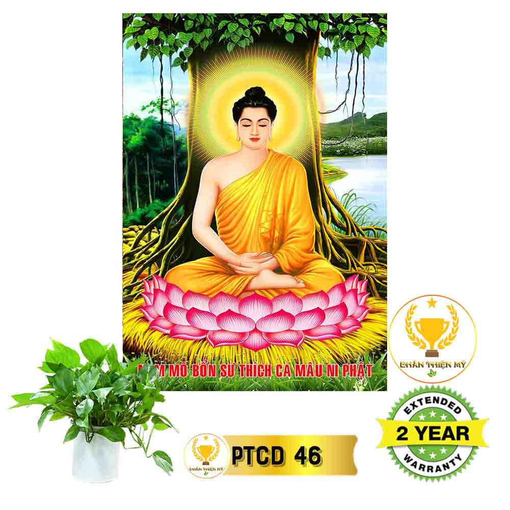 Tranh Phật Thích Ca có khung_PTCK6