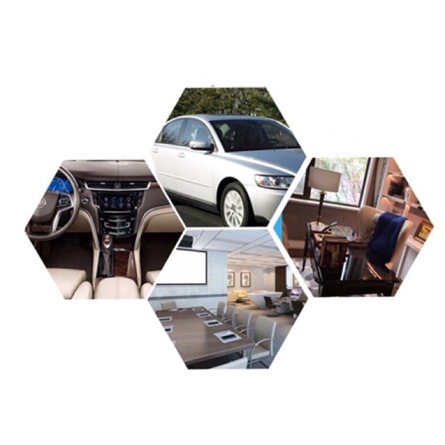 Cây Lau Xe Hơi / Nhà Cửa Mini Tiện Dụng