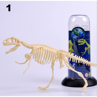 Hộp lắp ráp  Mô hình xương khủng long