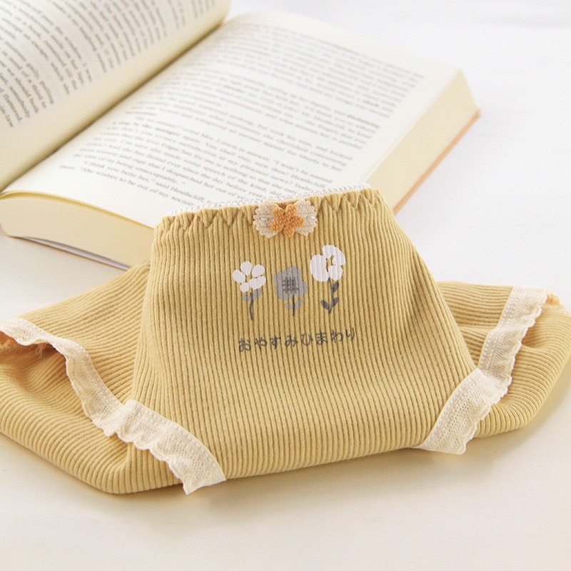Quần Lót Cotton - Quần Lót Nữ Cotton thiết kế gân tăm cao cấp thoáng mát DAN STORE MÃ 1315