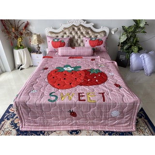 BỘ DRAP GỐI DRAP THUN Ý 5D CAO CẤP