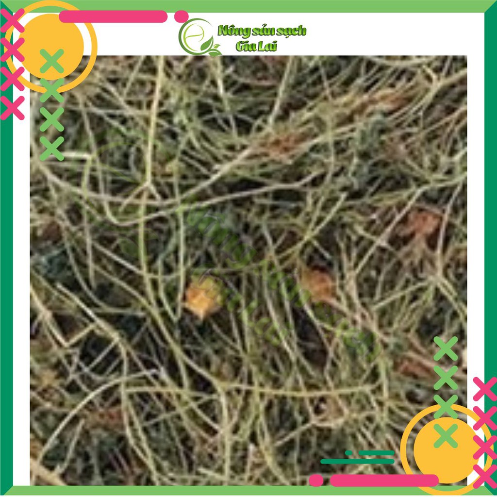 Cây khổ qua rừng hỗ trợ trị tiểu đường | BigBuy360 - bigbuy360.vn