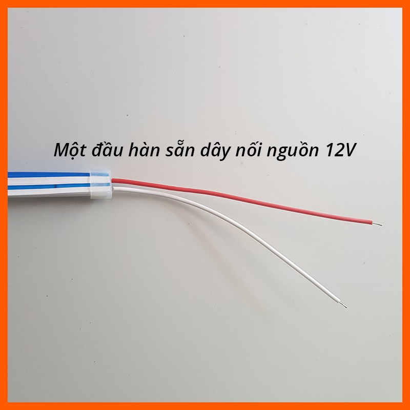 DÂY LED NEON DÀI 5 MÉT - Nguồn 12V