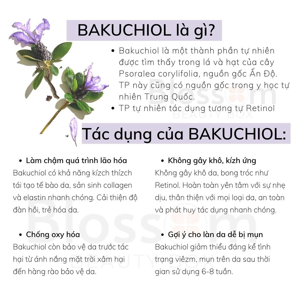 Kem dưỡng ẩm chống lão hoá Bielenda Bakuchiol Bio Retinol Effect Anti-wrinkle Moisturizing 40+