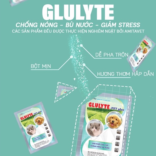 Giải nhiệt cho chó mèo GLULYTE Plus 35g AMITAVET giúp chăm sóc thú cưng chống nóng giảm stress tăng dề kháng bù nước