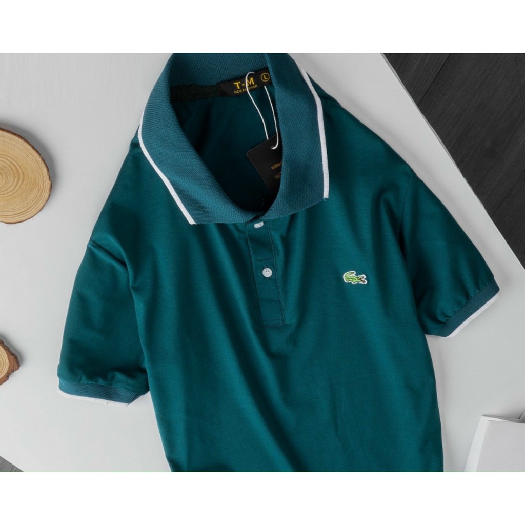 Polo 3 màu độc - cotton 100% - áo thun tay ngắn cao cấp