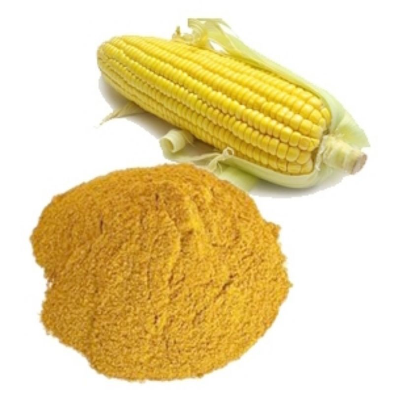Bột ngô nguyên chất làm thức ăn gia xúc gia cầm gà vịt, thính câu cá