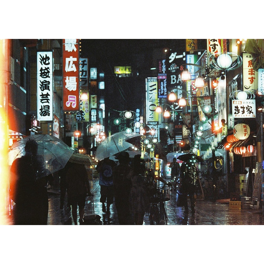Phim Cinestill 800 36 tấm - Date xa 12/2024 - cinestill 800t