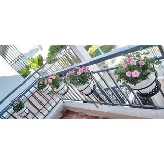 GIỎ TREO CÂY CẢNH BAN CÔNG