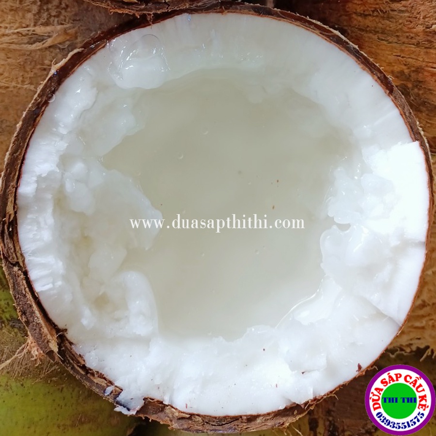 Dừa Sáp Bi Đặc