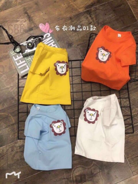 Sale off áo thun Quảng Châu cho bé trai, bé gái