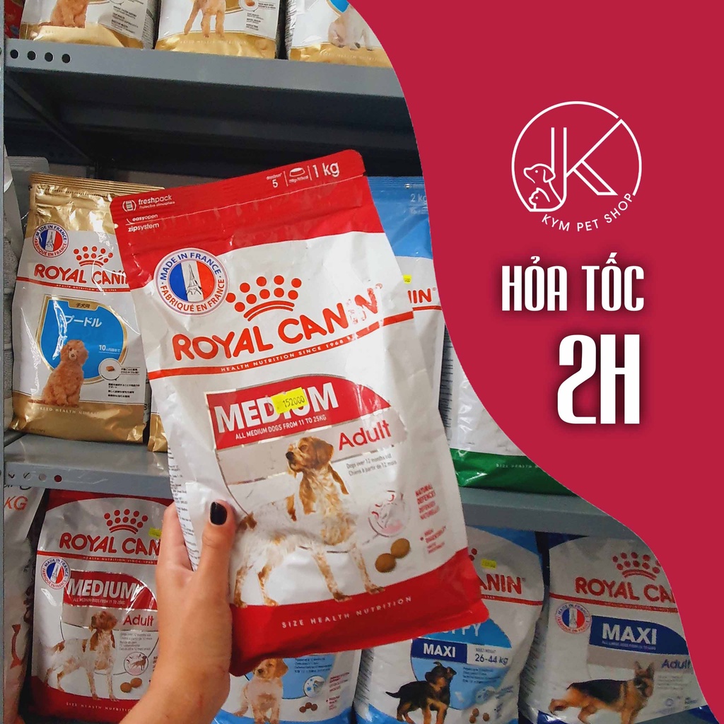 ROYAL CANIN MEDIUM - Thức ăn khô cho chó kích cỡ Medium (Cân nặng từ 11 - 25kg)