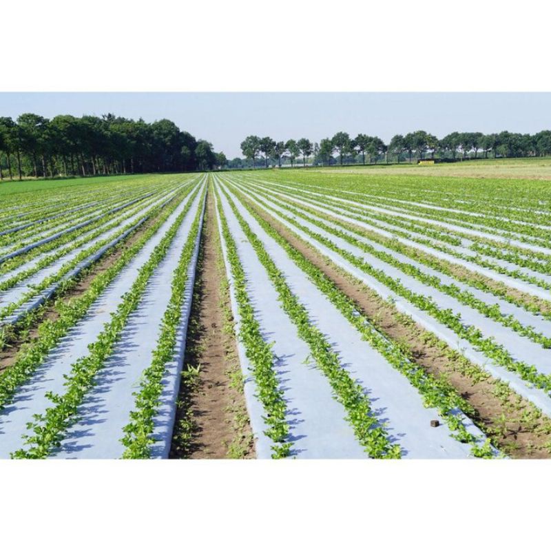 2kg BÓNG PHủ NÔNG NGHIỆP 1, 2× 80m