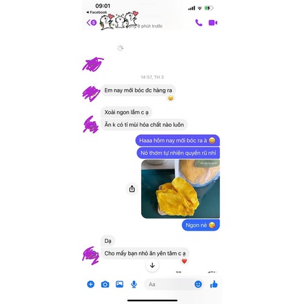 Xoài sấy dẻo nguyên miếng Nha Trang Đặc sản Tây Nguyên True Nuts