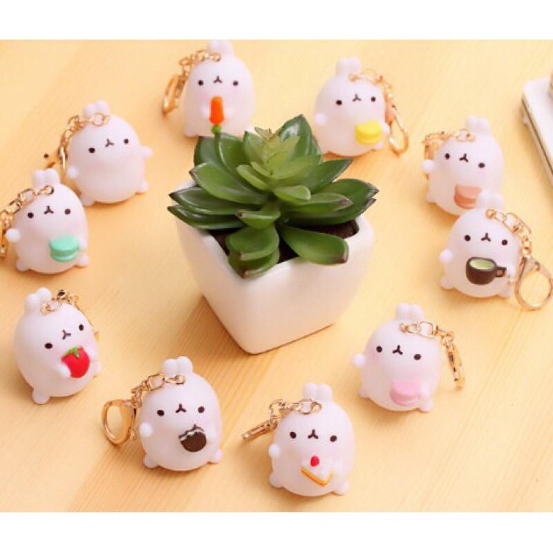 Móc khoá cứng đẹp thỏ molang cute rabbit keychain