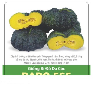 Hạt Giống Bí Đỏ Da Cóc Đặc Ruột, Dẽo Ngọt 5 Hạt