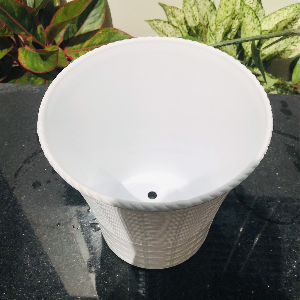 Chậu trồng cây, chậu nhựa trồng cây mây đan 2 lớp màu trắng 2 kích thước