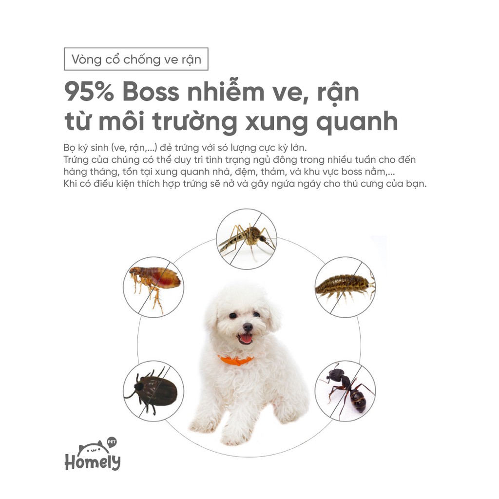 [Mã PET50K giảm Giảm 10% - Tối đa 50K đơn từ 250K] Vòng cổ chống ve rận cho chó mèo Flea &amp; Tick Collar