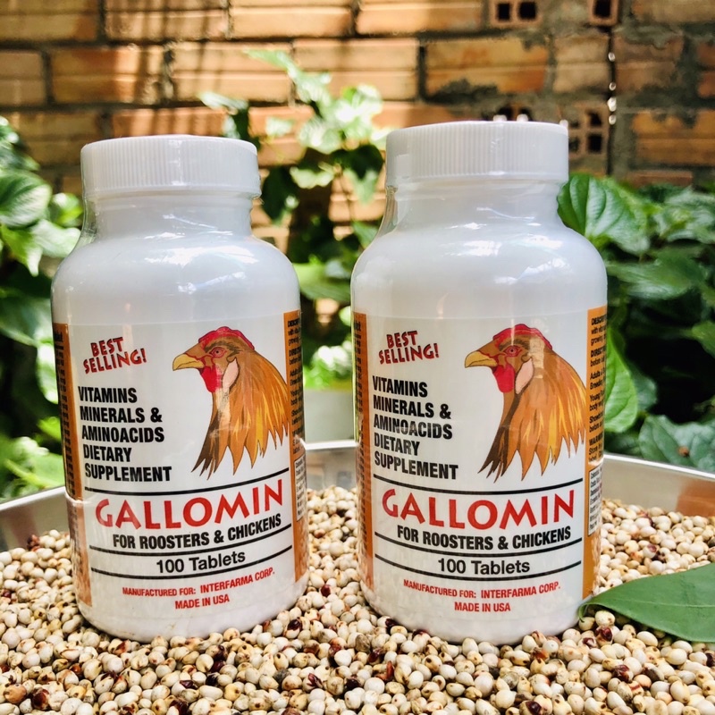 Gallomin thuốc nuôi cho gà đá tăng bo, dinh dưỡng cho chiến kê