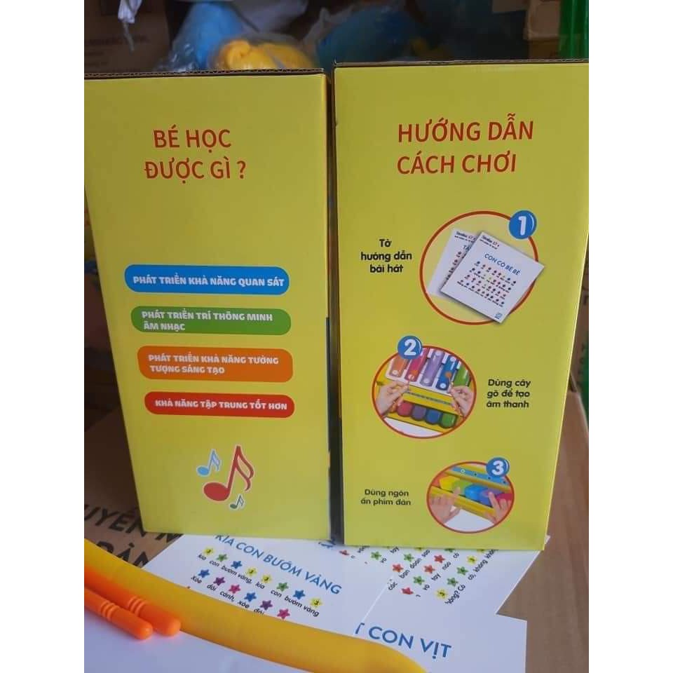 Đồ chơi nhạc công gấu IQ