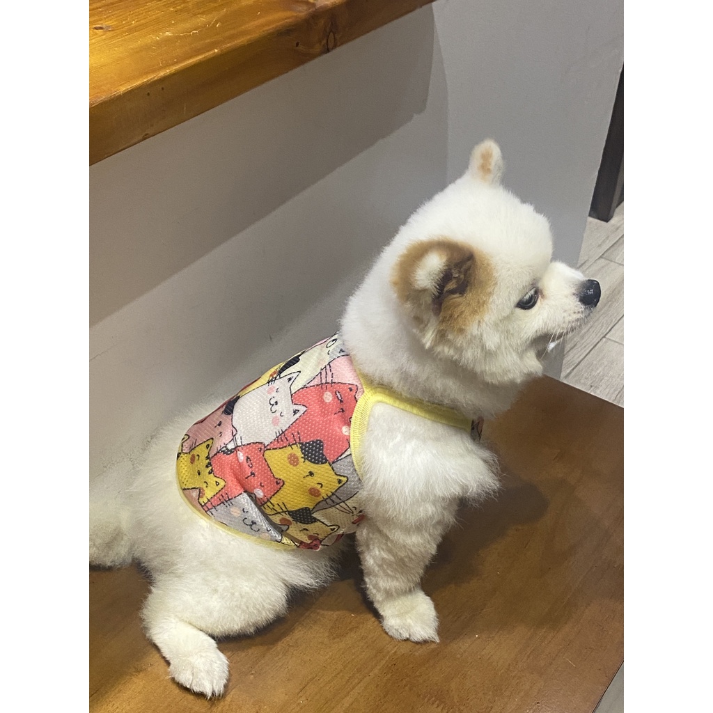 Áo lưới 2 dây phom croptop cho thú cưng yudog