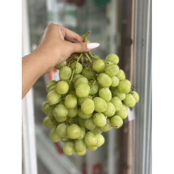 HCM Free Ship - Nho Xanh Không Hạt Mỹ Tươi Cứng Giòn Ngọt 500gr