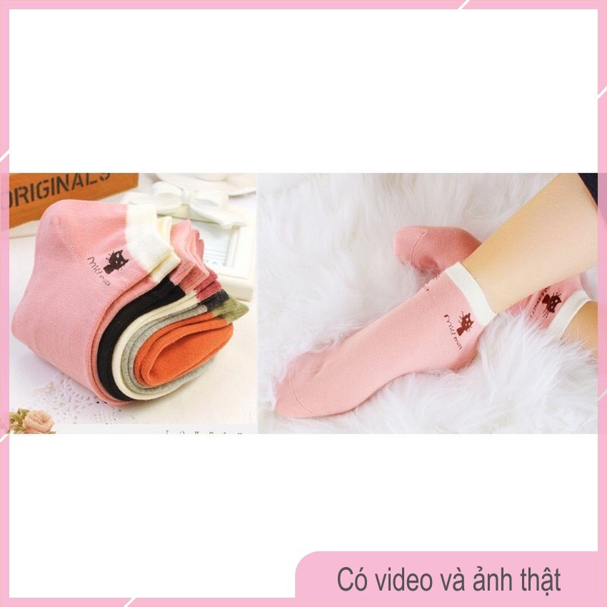 Sét 10 Đôi Tất Mèo Miu Miu Nữ Dễ Thương T03-THESHE