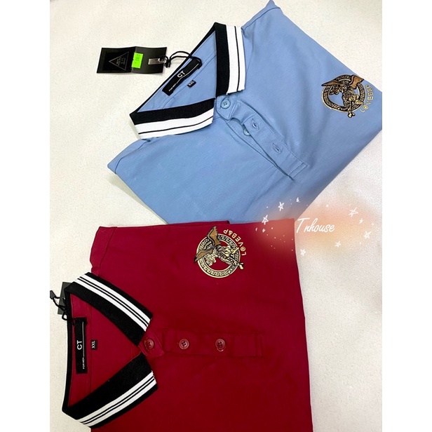 6 mẫu áo thun nam có cổ chất cotton 4 chiều thêu logo siêu xịn