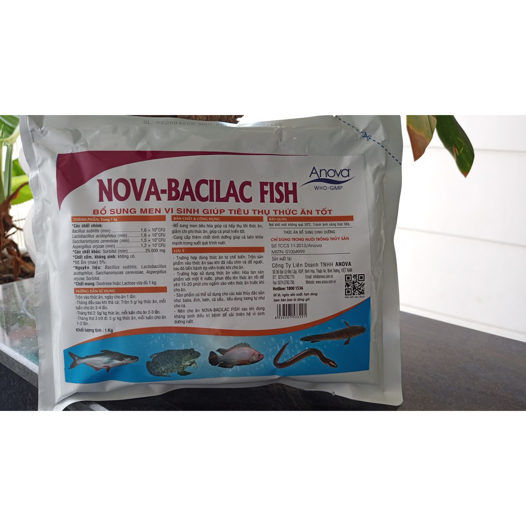 Men tiêu hóa Bacilac cho thủy sản – Men vi sinh giúp tiêu thụ thức ăn – Nova Bacilac fish