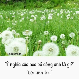 Dây dẫn bình xịt Dudaco từ 4 lít trở lên shopVTNN