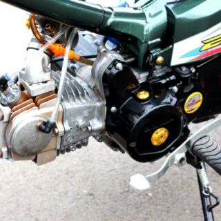 Ốc lốc đề