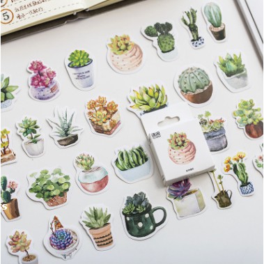 Hộp sticker chậu cây cute