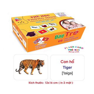 Thẻ học song ngữ anh việt 16 chủ đề chuẩn Glenn Doman mẫu mới 2020
