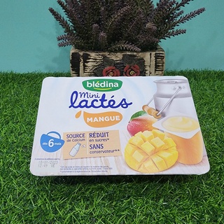 Sữa chua Bledina, Pháp cho bé 6m+