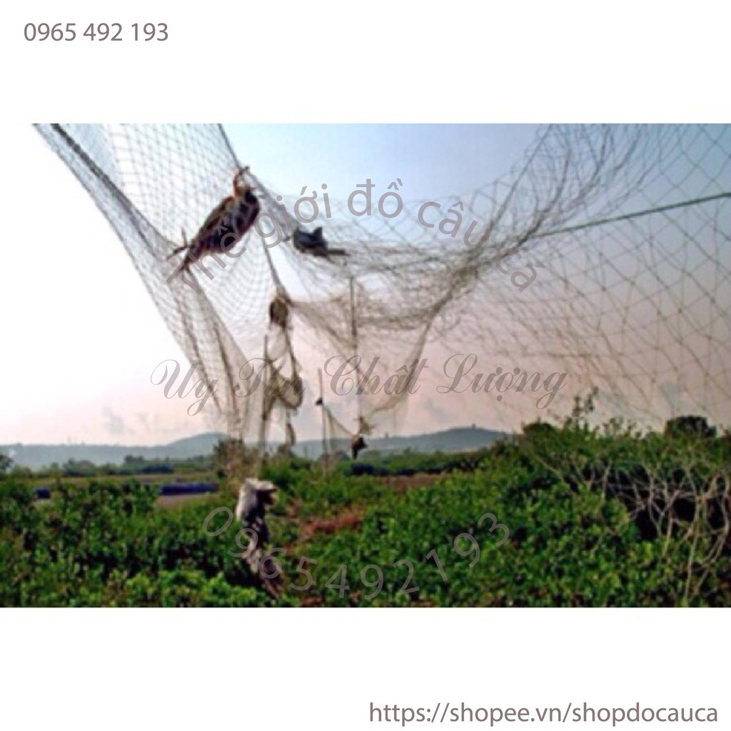 Lưới chim cu gáy 7cm cao 5m dài 10m đến 30m bắt các loại chim to lưới cực nhậy bén hàng thái lan ( rẻ vô địch )