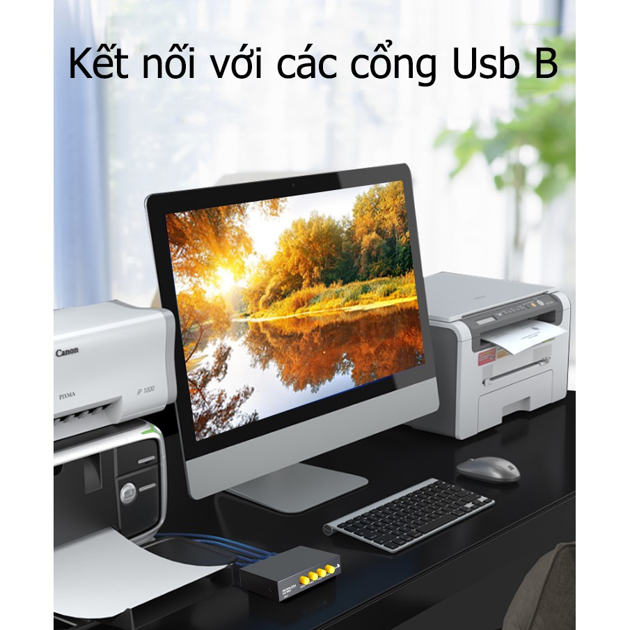 Bộ chia máy in 1 ra 4 cổng USB b - JH Q311 U401m