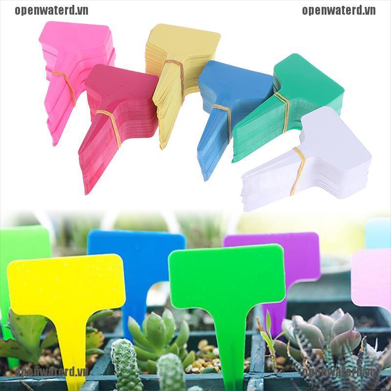 100 Tag Chữ T Gắn Chậu Cây