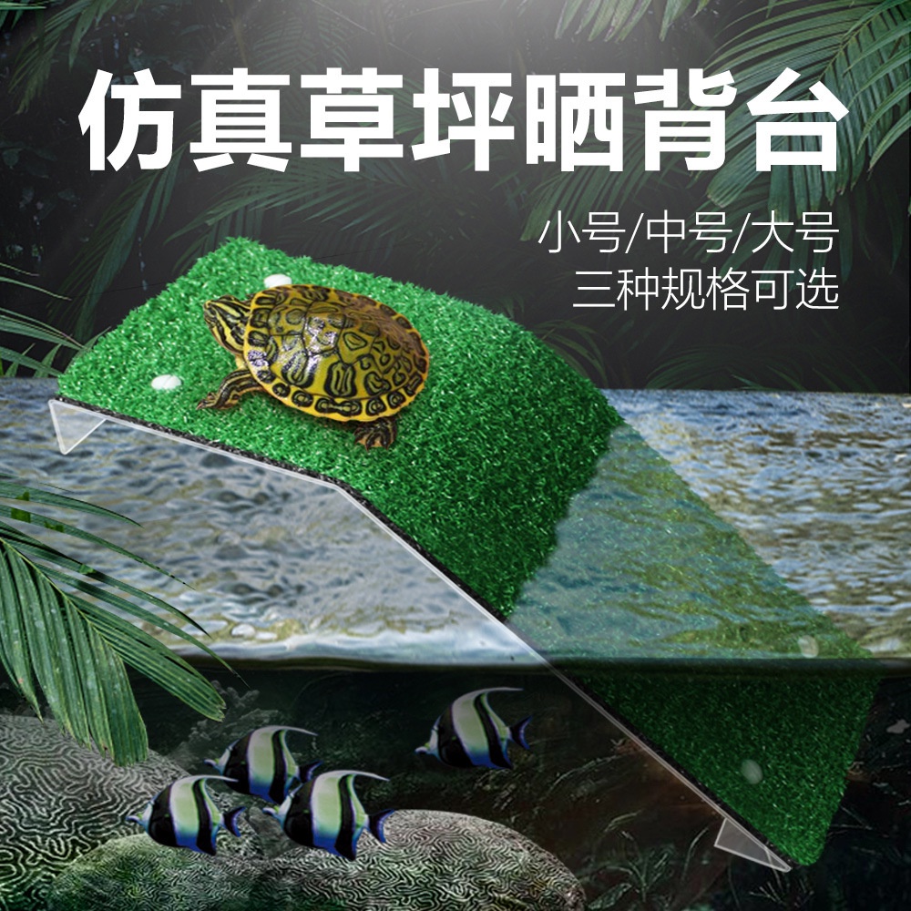 Bể Nước Và Đất Nomo, Bể Rùa, Bể Lưỡng Cư, Rùa Leo Thang, Mô Phỏng Mặt Trời, Cảnh Quan Bãi Cỏ, Sân Phơi Đảo Nổi