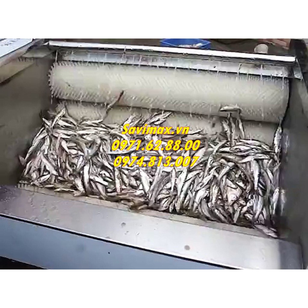 Máy đánh vảy cá cho nhà hàng,bếp ăn công nghiệp