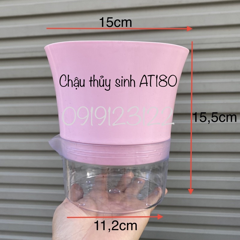 Chậu trồng cây thủy sinh , chậu thông minh tự tưới 10-10-13cm